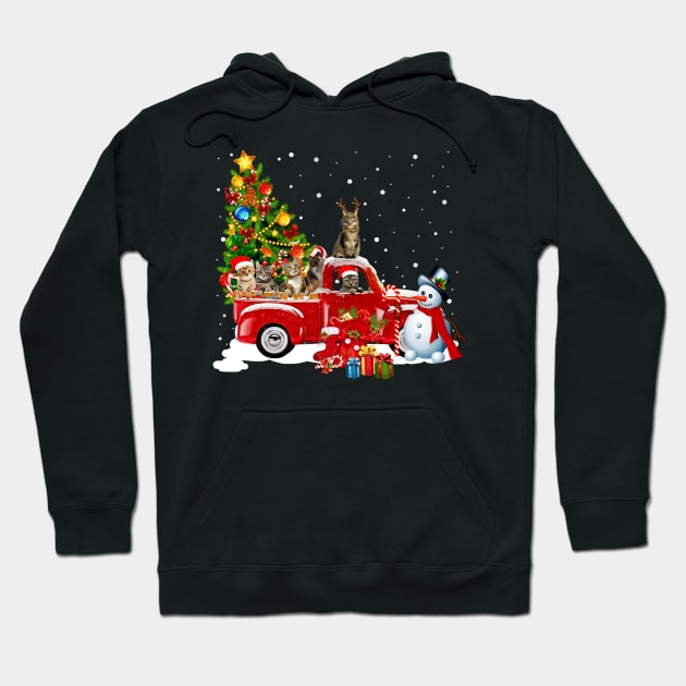 Cats Red Car Truck Christmas Tree Funny Santa T-Shirt Hoodie by kimmygoderteart